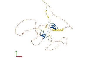 Protein Structure (PS) image for GATA Binding Protein 1 (Globin Transcription Factor 1) (GATA1) (AA 1-413) protein (His tag) (ABIN7562917)