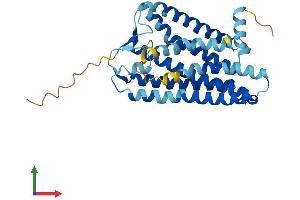 Protein Structure (PS) image for Olfactory Receptor, Family 3, Subfamily A, Member 2 (OR3A2) (AA 1-321) protein (His tag) (ABIN7550081)