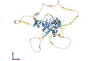Protein Structure (PS) image for Amyloid beta (A4) Precursor Protein-Binding, Family B, Member 1 Interacting Protein (APBB1IP) (AA 1-670) protein (His tag) (ABIN7559778)