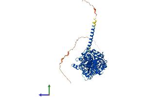 MTMR2 Protein (AA 1-643) (His tag)