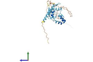 AlphaFold protein structure predicition of Mouse Recombinant Ovol2 Protein, UniprotID Q8CIV7