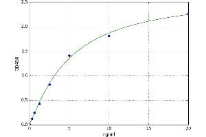 A typical standard curve (Neurturin ELISA 试剂盒)