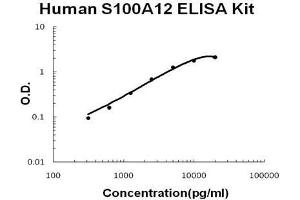 Human S100A12 PicoKine ELISA Kit standard curve (S100A12 ELISA 试剂盒)