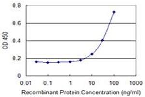Detection limit for recombinant GST tagged KLF8 is 3 ng/ml as a capture antibody. (KLF8 抗体  (AA 1-98))