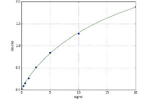 A typical standard curve (TMLHE ELISA 试剂盒)