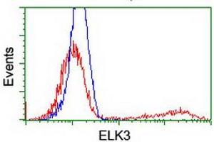 HEK293T cells transfected with either RC203114 overexpress plasmid (Red) or empty vector control plasmid (Blue) were immunostained by anti-ELK3 antibody (ABIN2455035), and then analyzed by flow cytometry. (ELK3 抗体)