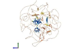 Protein Structure (PS) image for Sorbin and SH3 Domain Containing 1 (SORBS1) (AA 1-1290) protein (His tag) (ABIN7563966)