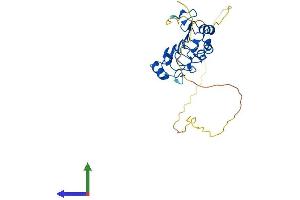 Protein Structure (PS) image for Acidic (Leucine-Rich) Nuclear phosphoprotein 32 Family, Member E (ANP32E) (AA 1-268) protein (His tag) (ABIN7552148)