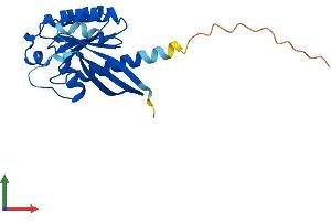 Protein Structure (PS) image for RAB24, Member RAS Oncogene Family (RAB24) (AA 1-203) protein (His tag) (ABIN7551204)