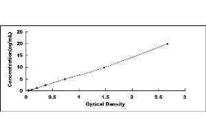 Typical standard curve (SLN ELISA 试剂盒)