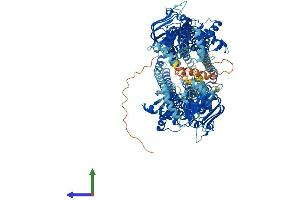 Protein Structure (PS) image for ATP-Binding Cassette, Sub-Family B (MDR/TAP), Member 1B (ABCB1B) (AA 1-1276) protein (His tag) (ABIN7562747)