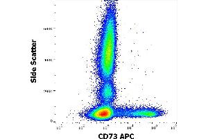 Flow cytometry surface staining pattern of human peripheral whole blood stained using anti-human CD73 (AD2) APC antibody (10 μL reagent / 100 μL of peripheral whole blood). (CD73 抗体  (APC))