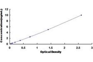 Typical standard curve (Envoplakin ELISA 试剂盒)
