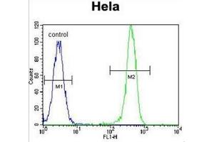 Flow cytometric analysis of Hela cells using Erythropoietin receptor  Antibody  (right histogram) compared to a negative control cell (left histogram). (EPOR 抗体  (Middle Region))