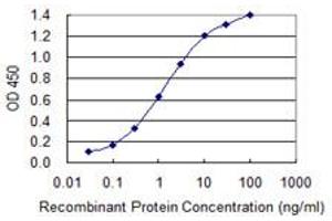 Detection limit for recombinant GST tagged DEPDC1B is 0. (DEPDC1B 抗体  (AA 430-529))