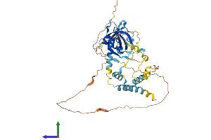 Protein Structure (PS) image for Adrenocortical Dysplasia Homolog (ACD) (AA 1-416) protein (His tag) (ABIN7563814)