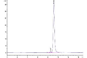 Size-exclusion chromatography-High Pressure Liquid Chromatography (SEC-HPLC) image for SARS-CoV-2 Spike (BA.4 - Omicron), (BA.5 - Omicron), (RBD) protein (His tag) (ABIN7273903)