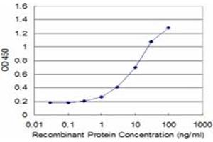 Detection limit for recombinant GST tagged PURA is approximately 0. (PURA 抗体  (AA 183-292))