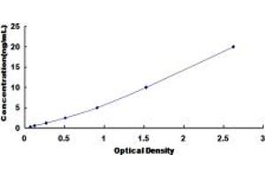 Typical standard curve (GLYT1 ELISA 试剂盒)