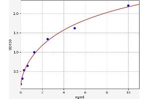 Typical standard curve (Retinoid X Receptor gamma ELISA 试剂盒)