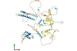 Protein Structure (PS) image for Non-SMC Condensin I Complex, Subunit H (NCAPH) (AA 1-731) protein (His tag) (ABIN7564494)