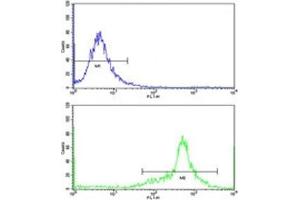 Flow Cytometry (FACS) image for anti-Insulin-Like Growth Factor Binding Protein 6 (IGFBP6) (AA 176-200) antibody (ABIN3031358)