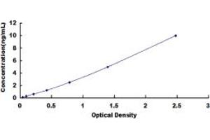 Typical standard curve (ACP2 ELISA 试剂盒)