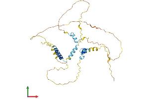 Protein Structure (PS) image for Family with Sequence Similarity 110, Member C (FAM110C) (AA 1-321) protein (His tag) (ABIN7547634)
