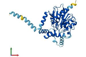 Protein Structure (PS) image for Abhydrolase Domain Containing 6 (ABHD6) (AA 1-336) protein (His tag) (ABIN7559714)