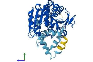 AlphaFold protein structure predicition of Human Recombinant LIPJ Protein, UniprotID Q5W064