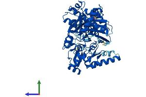 Protein Structure (PS) image for Glycerol Kinase 5 (Putative) (GK5) (AA 1-534) protein (His tag) (ABIN7558981)