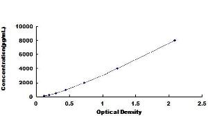 Typical Standard Curve