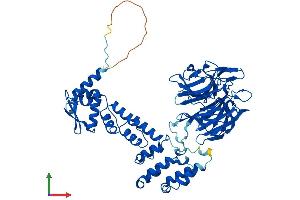 Protein Structure (PS) image for Kelch-Like 2, Mayven (KLHL2) (AA 1-593) protein (His tag) (ABIN7559400)