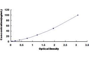 Typical standard curve (HSPA1B ELISA 试剂盒)