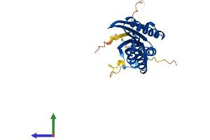 Protein Structure (PS) image for Interleukin-1 Receptor-Associated Kinase 1 Binding Protein 1 (IRAK1BP1) (AA 1-260) protein (His tag) (ABIN7548475)