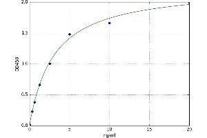 A typical standard curve (SRSF1 ELISA 试剂盒)