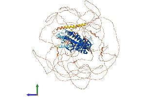 Protein Structure (PS) image for rho Guanine Nucleotide Exchange Factor (GEF) 5 (ARHGEF5) (AA 1-1581) protein (His tag) (ABIN7562134)