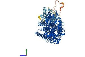 AlphaFold protein structure predicition of Mouse Recombinant Alox12b Protein, UniprotID O70582