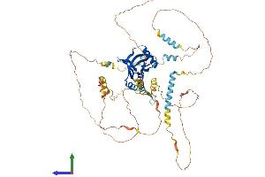 Protein Structure (PS) image for Numb Homolog (Drosophila)-Like (NUMBL) (AA 1-604) protein (His tag) (ABIN7562229)