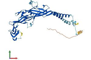 AlphaFold protein structure predicition of Mouse Recombinant P2rx3 Protein, UniprotID Q3UR32 (P2RX3 Protein (AA 1-397) (His tag))