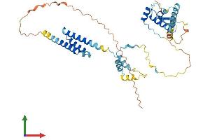 Protein Structure (PS) image for Non-SMC Element 4 Homolog A (NSMCE4A) (AA 1-385) protein (His tag) (ABIN7549846)