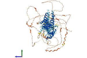 AlphaFold protein structure predicition of Mouse Recombinant Fgd1 Protein, UniprotID P52734