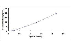 Typical standard curve (MCL-1 ELISA 试剂盒)