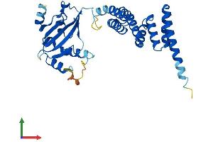 AlphaFold protein structure predicition of Mouse Recombinant Aip Protein, UniprotID O08915