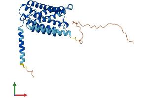 Protein Structure (PS) image for ELOVL Fatty Acid Elongase 4 (ELOVL4) (AA 1-314) protein (His tag) (ABIN7553797)