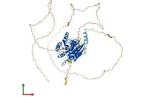 Protein Structure (PS) image for Septin 9 (SEPT9) (AA 1-586) protein (His tag) (ABIN7546012)