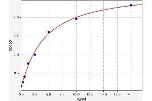 Typical standard curve (PRSS36 ELISA 试剂盒)