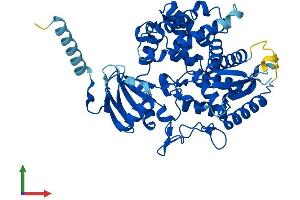 Protein Structure (PS) image for Cytochrome P450, Family 7, Subfamily A, Polypeptide 1 (CYP7A1) (AA 1-503) protein (His tag) (ABIN7557845)