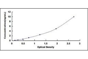 Typical standard curve (SLC5A5 ELISA 试剂盒)