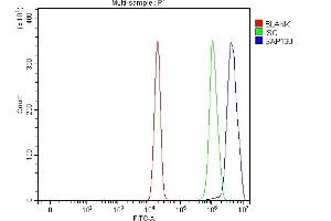 Flow Cytometry analysis of U20S cells using anti-SAP130 antibody (ABIN7601247).